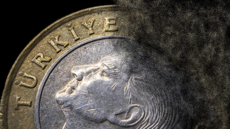 Turecká líra dosiahla nové rekordné minimum voči americkému doláru