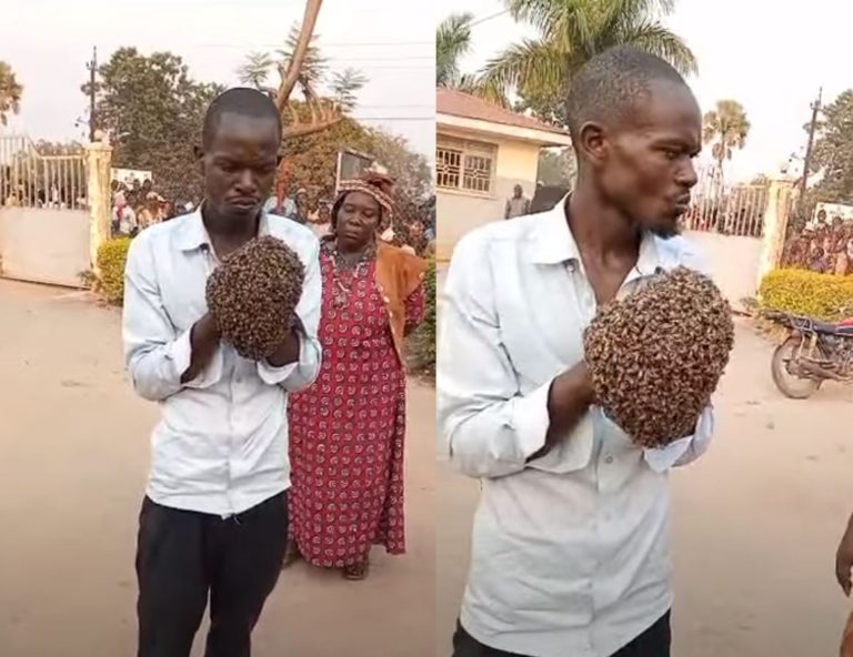 Africký kúzelník spúta zlodeja včelami v Ugande