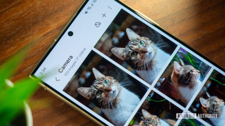 Pohybujúce sa domáce zvieratá a ľudia sú stále kryptonitom fotoaparátu Galaxy S24 Ultra 😼