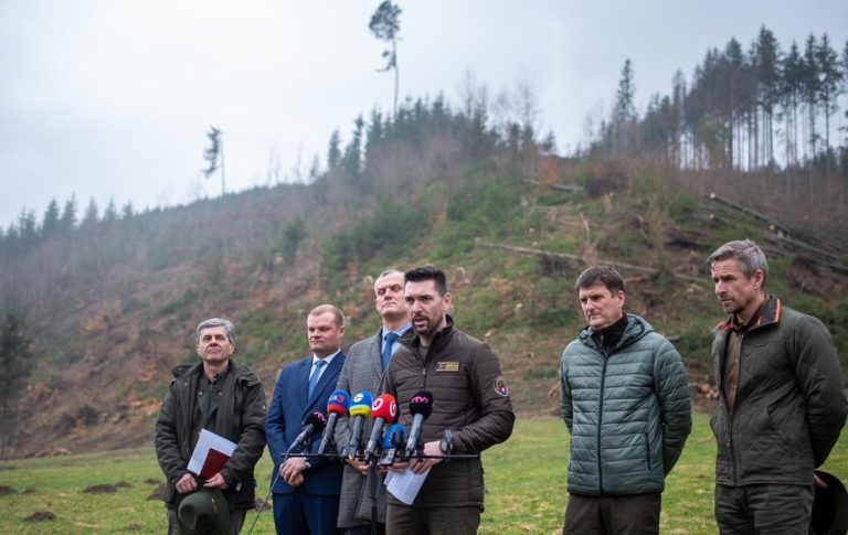 V čiernobalockých lesoch je ohrozených až 10 mil. metrov kubických porastov, Takáč viní predchádzajúce vedenie ministerstva (foto)