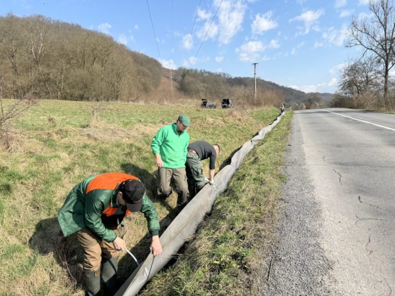 Ochranári žiadajú od vodičov opatrnosť, je tu čas ťahu žiab