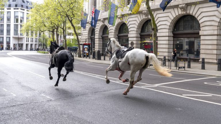 Kone bez jazdcov sa zotavili po tom, čo voľne prebehli centrom Londýna