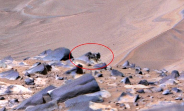 Postava „Ant-Like“ viditeľná na obrázku marťanského roveru vyvoláva zvedavosť