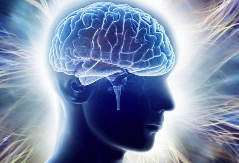 Štúdia ukazuje, že ľudský mozog sa každou generáciou zväčšuje