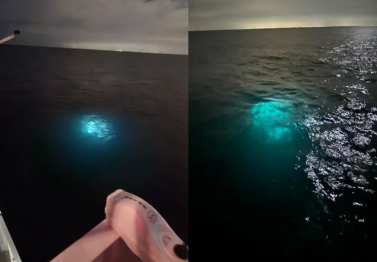 USO vyžarujúce silné svetlo nafilmované výskumným plavidlom v Mexickom zálive