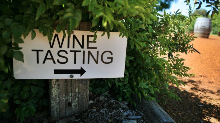 Čo by ste mali vedieť o prehliadke svetoznámych vinárskych oblastí