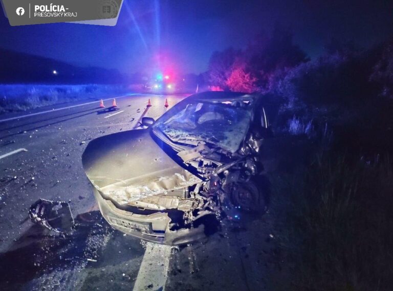 Tragická nočná nehoda pri Vranove nad Topľou. Zrážka kamióna s autom si vyžiadala jednu obeť (foto)