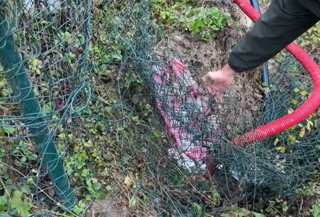 Zber hríbov sa zmenil na boj o život. Dôchodkyňa bola vo výkope uväznená šesť hodín