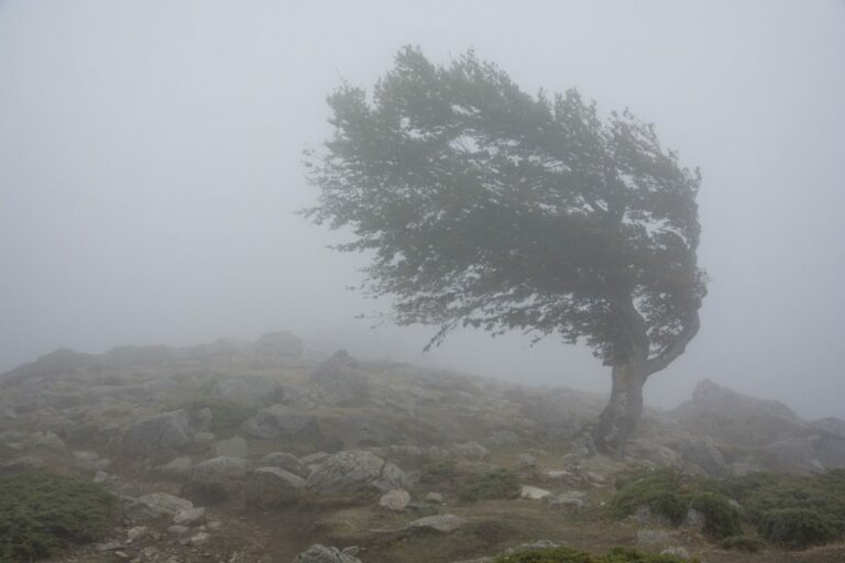 Meteorológovia varujú aj pred silnou víchricou, s výstrahami pre Slovensko sa roztrhlo vrece