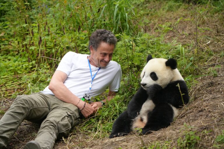 Žiadna AI! Film Panda a ja je plný skutočných citov i záberov s roztomilým čiernobielym medvedíkom