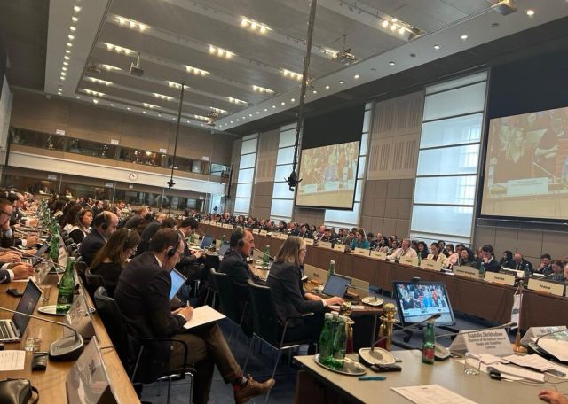 Slovenskí prokurátori majú pozitívne výsledky v boji proti detským sobášom, so svojimi skúsenosťami sa podelili vo Viedni