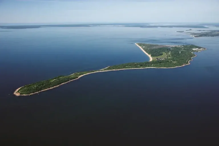 Tajomstvá slivkového ostrova: Skúmanie amerického tajného biologického výskumu