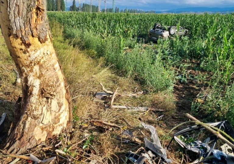 Tragická dopravná nehoda v okrese Levice, vodič neprežil náraz do stromu – FOTO