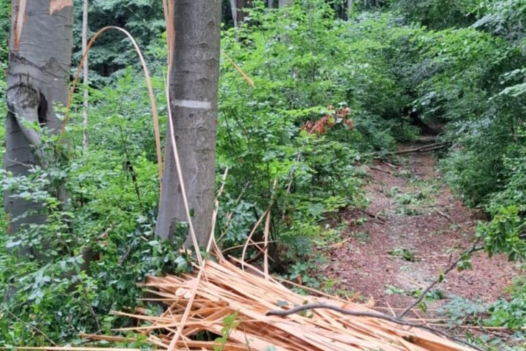 Hlavné turistické a cyklistické trasy v košických lesoch sú už priechodné – FOTO