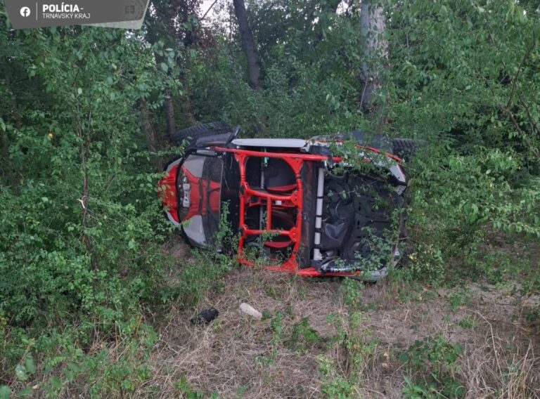 Pri Dolnej Strede zomrelo desaťročné dievča, ktoré vypadlo z buginy. Vodič mal vypité