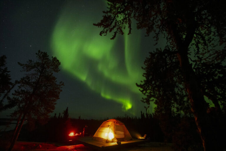 Top foto dňa (20. august 2025): Aurora borealis, mláďatá korytnačky, teplo v Egypte, elektrická KIA a repatriácia tiel