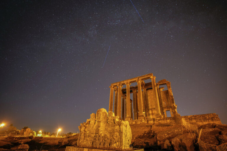 Top foto dňa (13. august 2025): Padajúce perzeidy, dovolenkári v Egypte, tajfún Podul, kopaný volejbal a opica Lilo