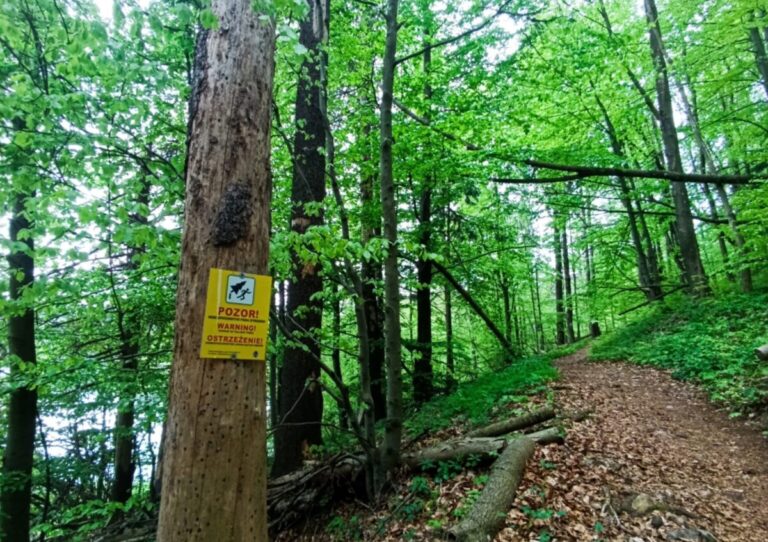 Turistický chodník Dedinky – Stratenská Píla je krátkodobo uzavretý – FOTO